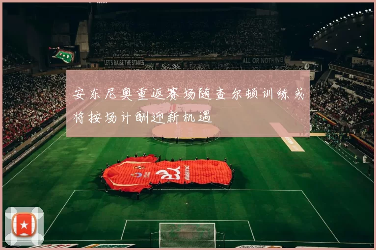 安东尼奥重返赛场随查尔顿训练或将按场计酬迎新机遇